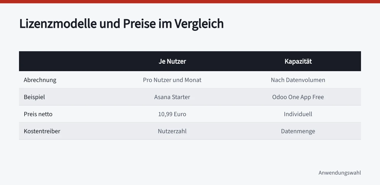 Vergleichstabelle Lizenzmodelle je Nutzer und Kapazität mit Beispielpreisen ('Datenauswertung Programme prüfen: Was Lizenzen und Betrieb kosten')